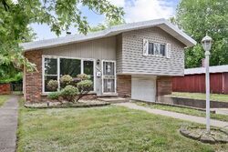 Foreclosure in  MEADOW LN Dolton, IL 60419