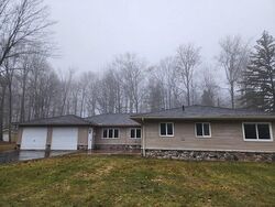 E Ely Rd, Au Gres MI