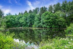 Foreclosure Listing in OLD SNAKE HILL RD POUND RIDGE, NY 10576