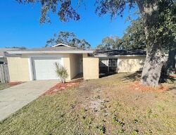 Foreclosure in  LANDSMAN AVE Tampa, FL 33625