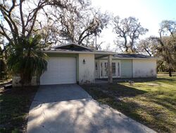 Foreclosure in  COCONUT COVE PL Valrico, FL 33596