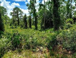 Foreclosure in  Binkley ST E Lehigh Acres, FL 33974