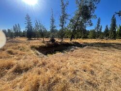 Foreclosure Listing in Ernst Rd COULTERVILLE, CA 95311