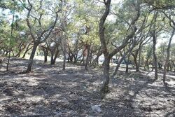  Donnie Dr, Rockport TX