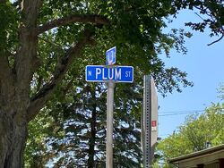 Foreclosure in  N PLUM ST Farmer City, IL 61842