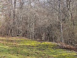 Foreclosure in  RUSSELL CREEK RD Saint Paul, VA 24283