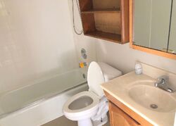 Foreclosure in  BARBARA LN Steger, IL 60475