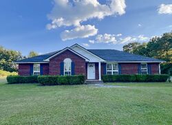 Foreclosure Listing in JOHN LOWERY RD JAY, FL 32565