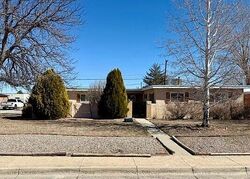 Foreclosure in  HEILAND RD Aztec, NM 87410