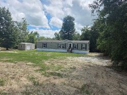 Foreclosure in  115TH PASS Mc Alpin, FL 32062