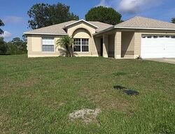 Foreclosure in  SAWFISH LN Kissimmee, FL 34759