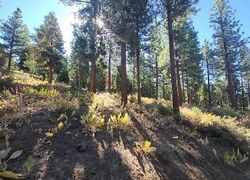  Blue Flax Ln, Portola CA