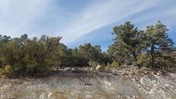  N Sundance Kid Trl, Central UT