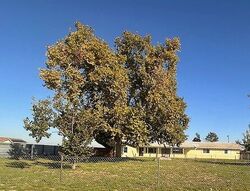 Foreclosure in  ATWATER JORDAN RD Livingston, CA 95334