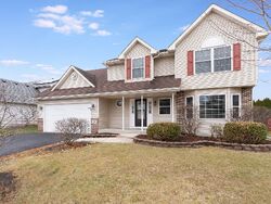 Foreclosure in  Shorewood Dr Shorewood, IL 60404