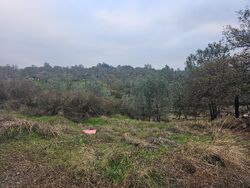  Hautly Ln, Valley Springs CA