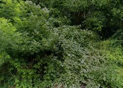  Piper Rd, Herkimer NY