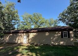 Foreclosure in  N Bass Lake Rd Irons, MI 49644