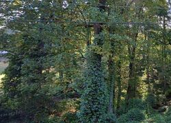 Foreclosure in  Mount Ulla Hwy Mooresville, NC 28115