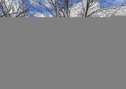 Foreclosure in  SCHOOL LN Harleysville, PA 19438