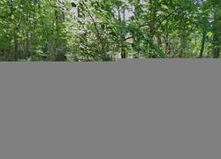 Foreclosure in  ROBIN LN Asheville, NC 28806