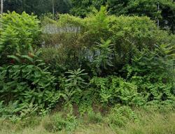 Foreclosure in  TOMAHAWK ST Amawalk, NY 10501