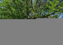 Foreclosure in  HERITAGE DR Sterling, IL 61081