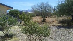 Foreclosure in  N CAMINO VERDE Tucson, AZ 85743