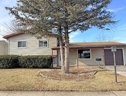 Foreclosure in  LARAMIE AVE Oak Forest, IL 60452
