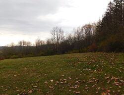 Foreclosure in  Macduffie Dr Hinsdale, NY 14743
