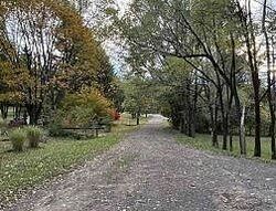 Foreclosure in  Macduffie Dr Hinsdale, NY 14743