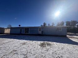 Foreclosure in  NE 3RD ST Galva, IL 61434