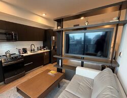 Foreclosure in  NE 5th St Unit 4516 Miami, FL 33132