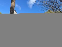  Marven Way, Wellfleet MA