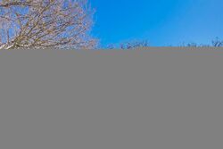 Foreclosure in  RIDGE RD Highland Park, IL 60035