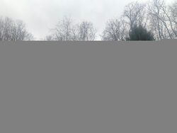 Foreclosure in  HAZEL RD Pittsburgh, PA 15235