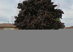  George Urban Blvd, Buffalo NY