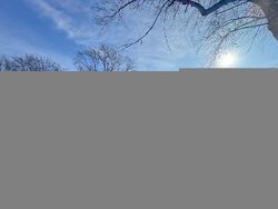 Foreclosure in  WINNEBAGO ST Park Forest, IL 60466