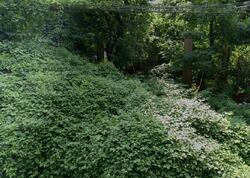 Foreclosure in  ROSEMONT AVE Drexel Hill, PA 19026