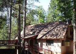Foreclosure in  FIGARO DR Shingletown, CA 96088