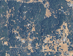 Foreclosure in  Dead Horse Rd Grass Valley, CA 95949