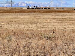 Foreclosure in  Mulberry Rd Calhan, CO 80808