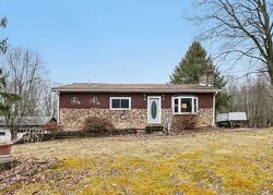 Foreclosure in  Whites Hill Rd Rochester, PA 15074