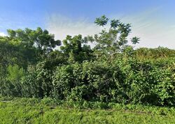 Foreclosure in  SE Giffen Avenue Port Saint Lucie, FL 34952