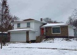 Foreclosure in  Morgan Ln Hoffman Estates, IL 60169