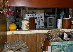 Foreclosure in  RUE ST Houston, TX 77033