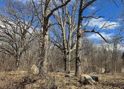 Foreclosure in  VASSAR RD Grand Blanc, MI 48439