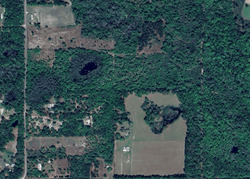 Foreclosure in  140TH ST Wellborn, FL 32094