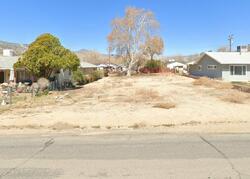 Foreclosure in  Audrey Ave Lake Isabella, CA 93240
