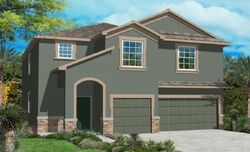 Foreclosure in  STEDFAST CT Sun City Center, FL 33573